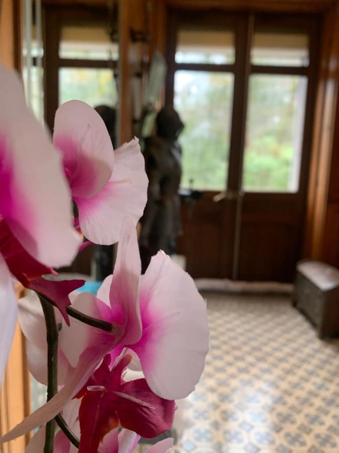 Demoiselle Des Roches Lejlighed Ramonchamp Eksteriør billede