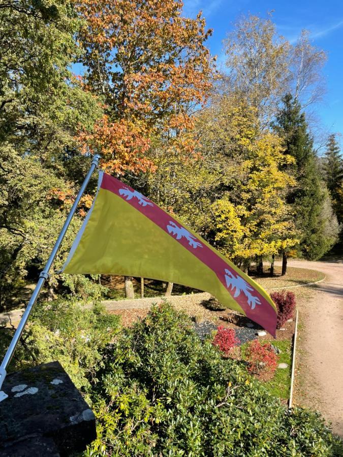 Demoiselle Des Roches Lejlighed Ramonchamp Eksteriør billede